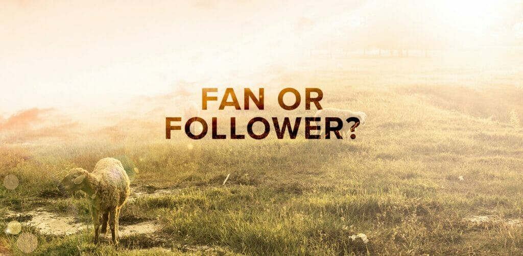 Fan or Follower