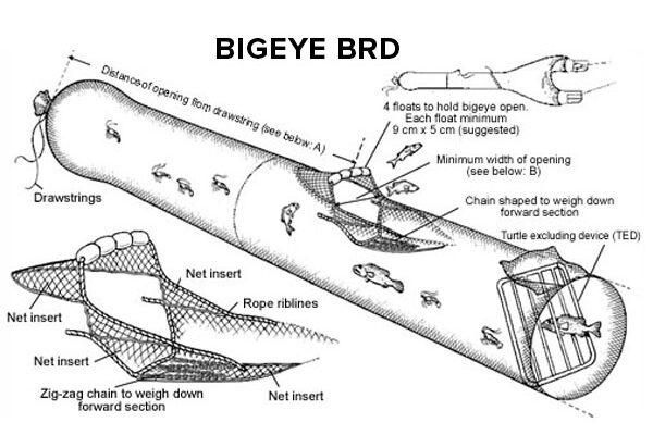 Cornell Cooperative Extension  Squid Trawl Project - BRD (Bycatch  Reduction Device)